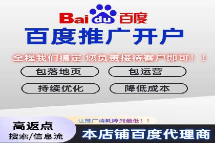 SEM运营公司经典案例点评